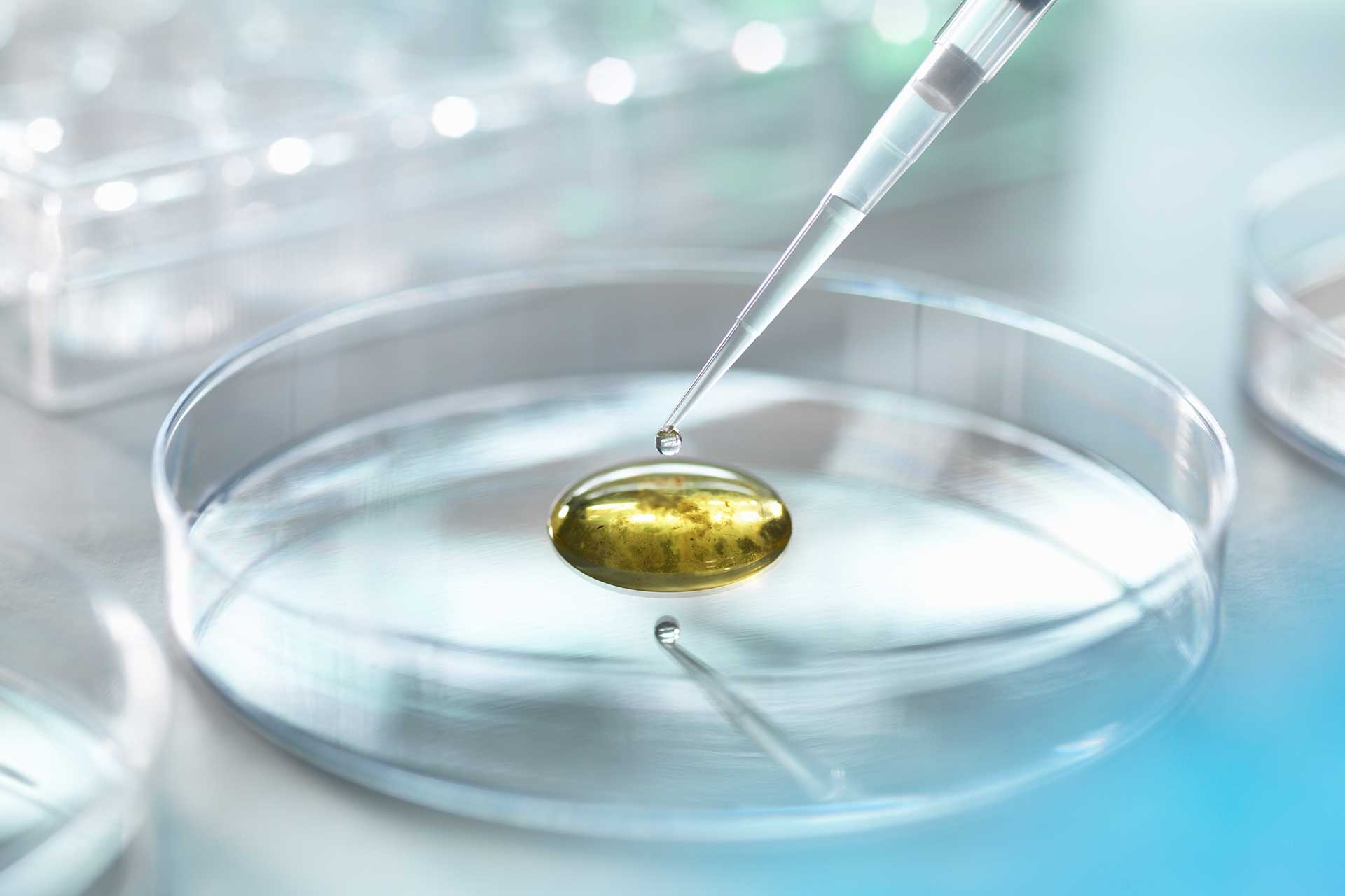 Mitochondrientherapie